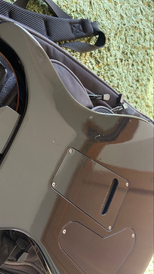 PRS Custom24 2011年モデル