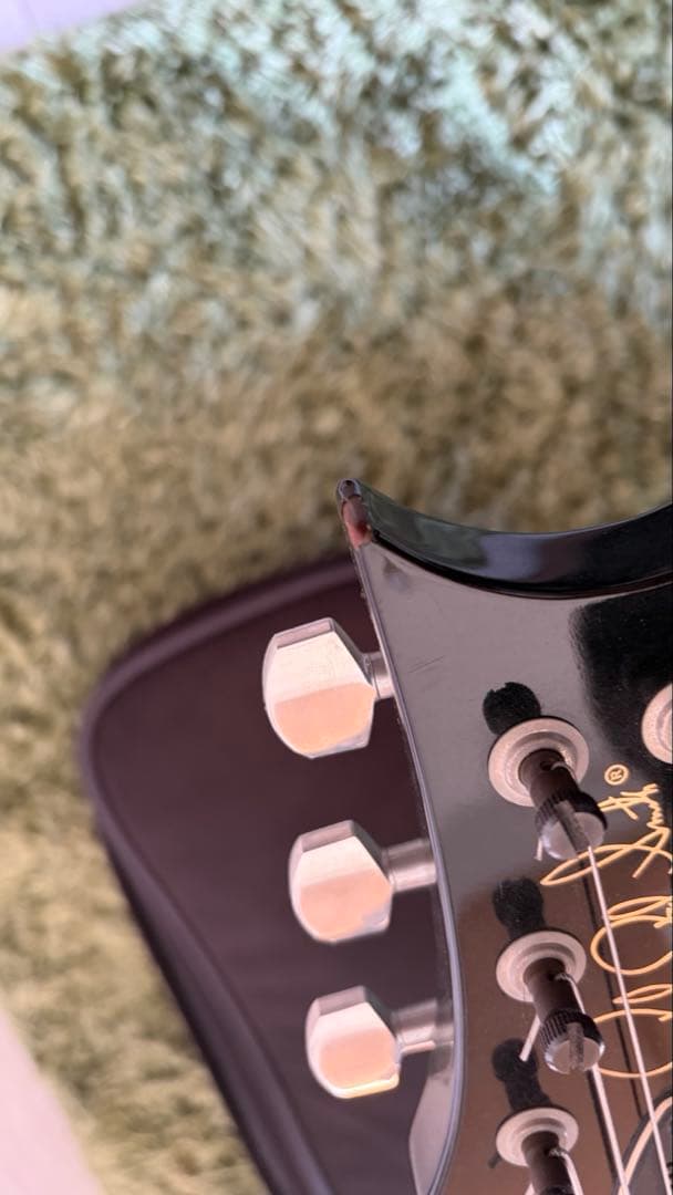 PRS Custom24 2011年モデル