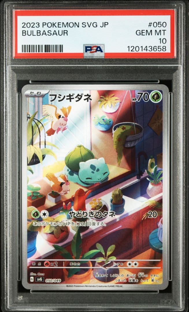 PSA10 連番ポケモンカード スペシャルデッキセットEXex 御三家