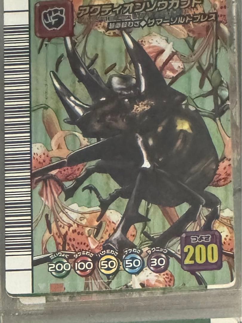 ムシキング 5周年記念コレクションカード アクティオンゾウカブト アダー