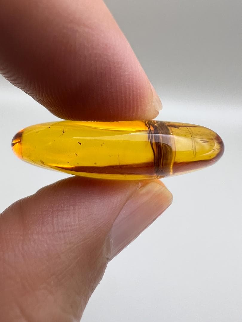 【海】超レア　蜘蛛と小蝿　虫入り 琥珀 化石 本物 バルト海産　30mm  美品
