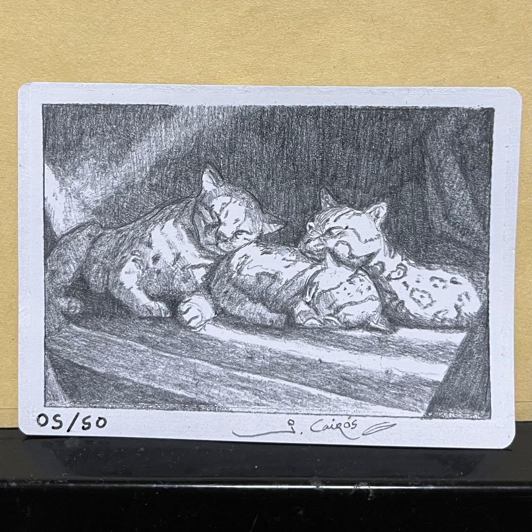 ワ*ク様 オセロットの群れ/ocelot pride スケッチ入りプルーフ 05