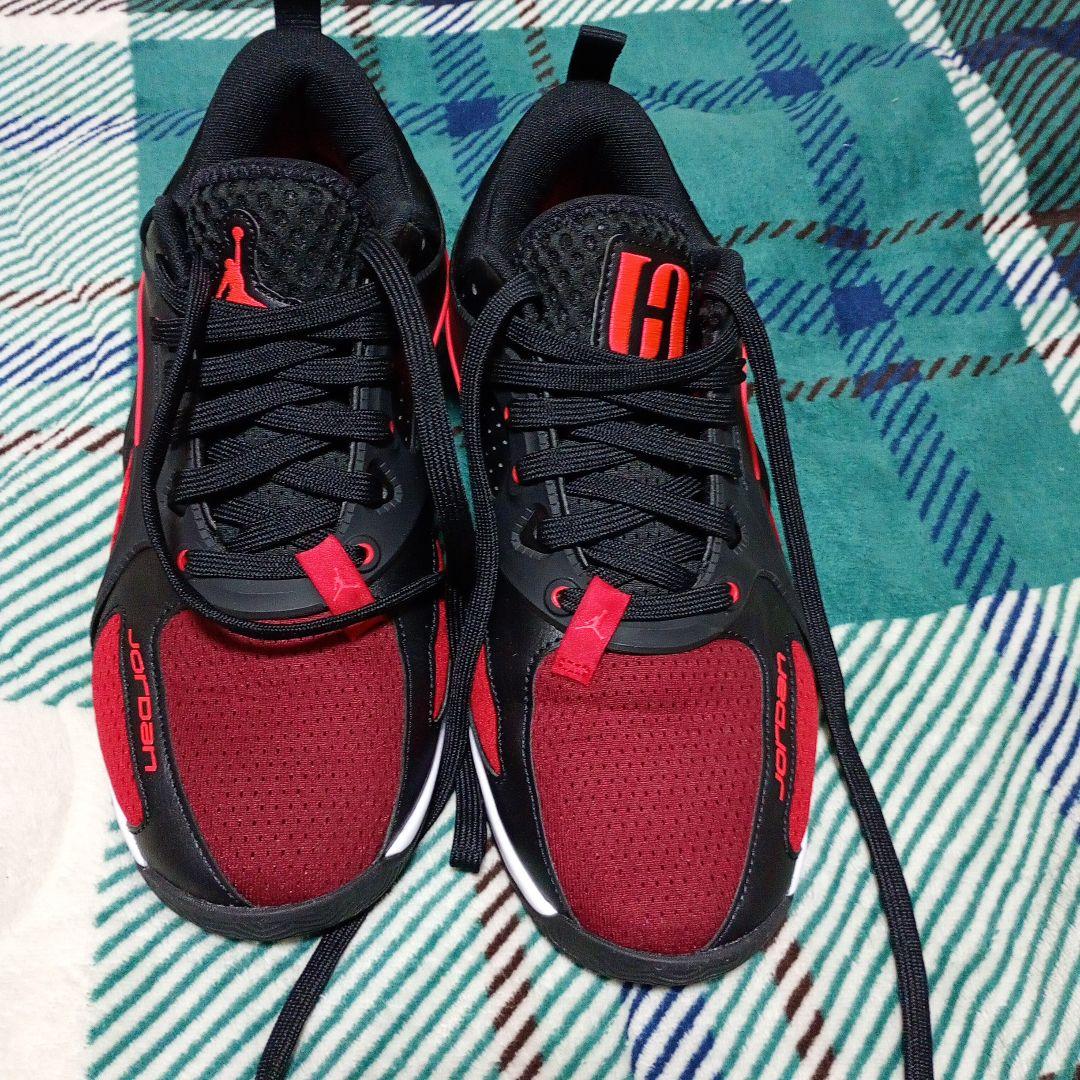 シューズ(男性用) nikeJordan heirseries PFbloodline nobox