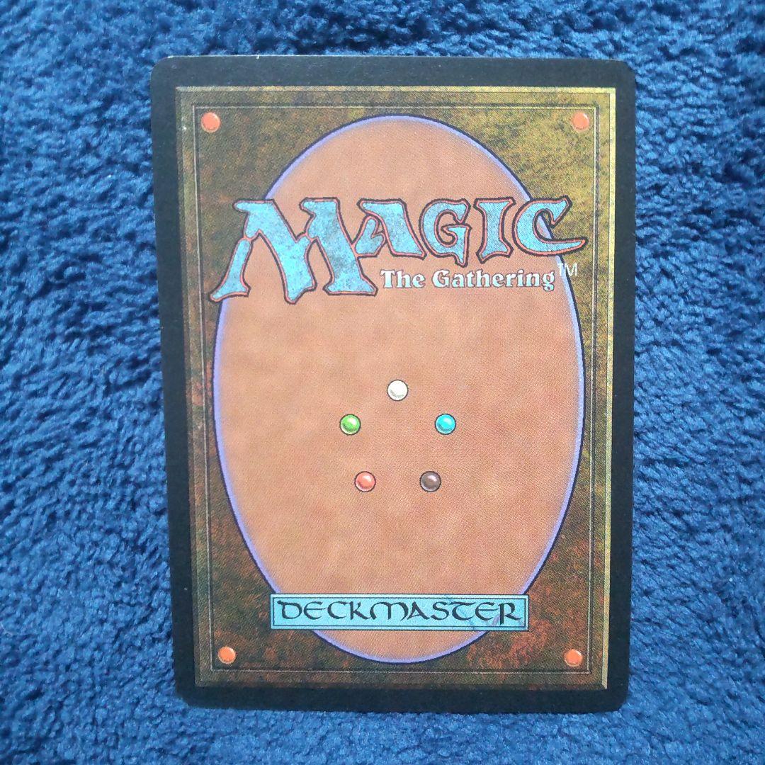 適者生存 Survival of the Fittest 英語