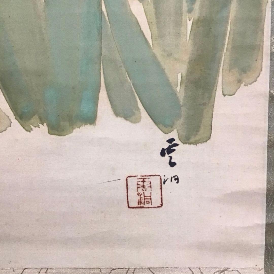 K茶道具　掛軸　杜若(かきつばた)　小寺雲洞作(明治ー昭和)共箱　S1014KJ