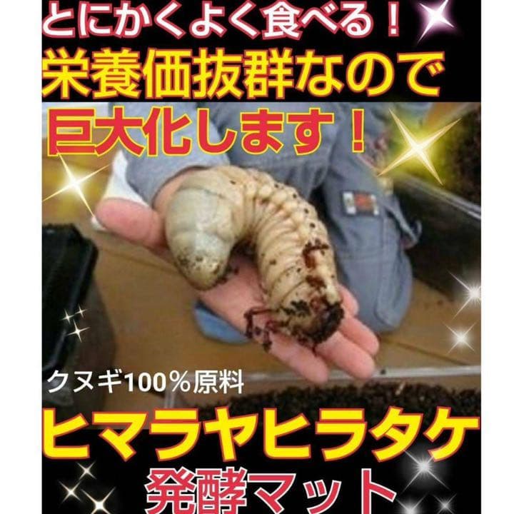 カブトムシ幼虫の大量飼育に！たっぷり100リットル【10袋】高品質の発酵マット