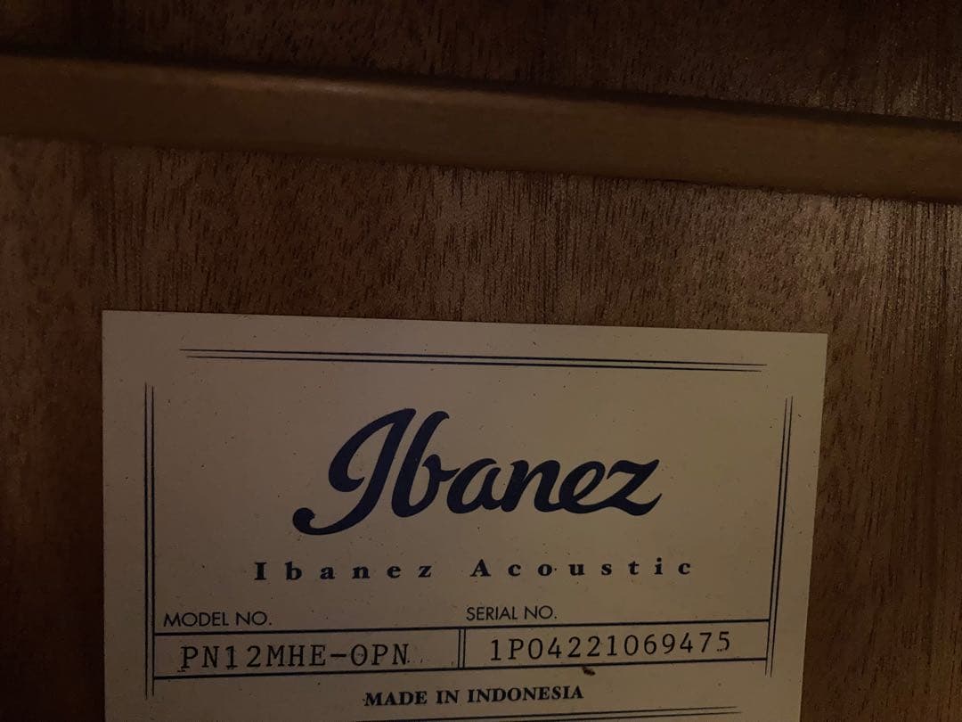 Ibanez AEQ2T アコースティックギター