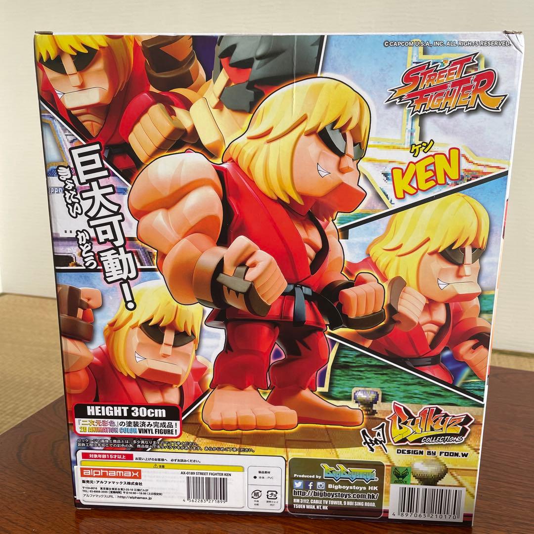 その他 STREET FIGHTER KEN