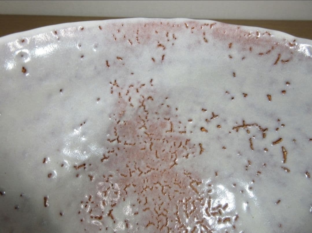 真作保証 吉田萩苑 自作 萩焼 玉隆窯 コレクター放出品 茶道具 山口県 萩市