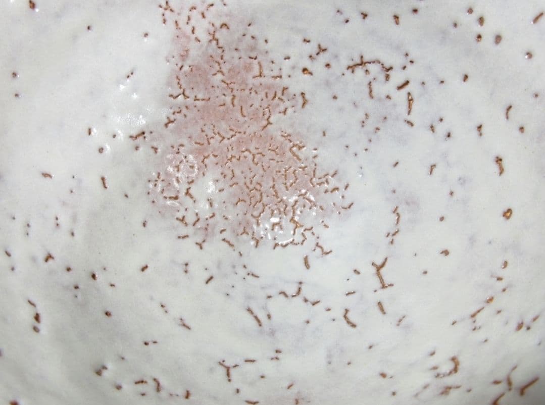 真作保証 吉田萩苑 自作 萩焼 玉隆窯 コレクター放出品 茶道具 山口県 萩市