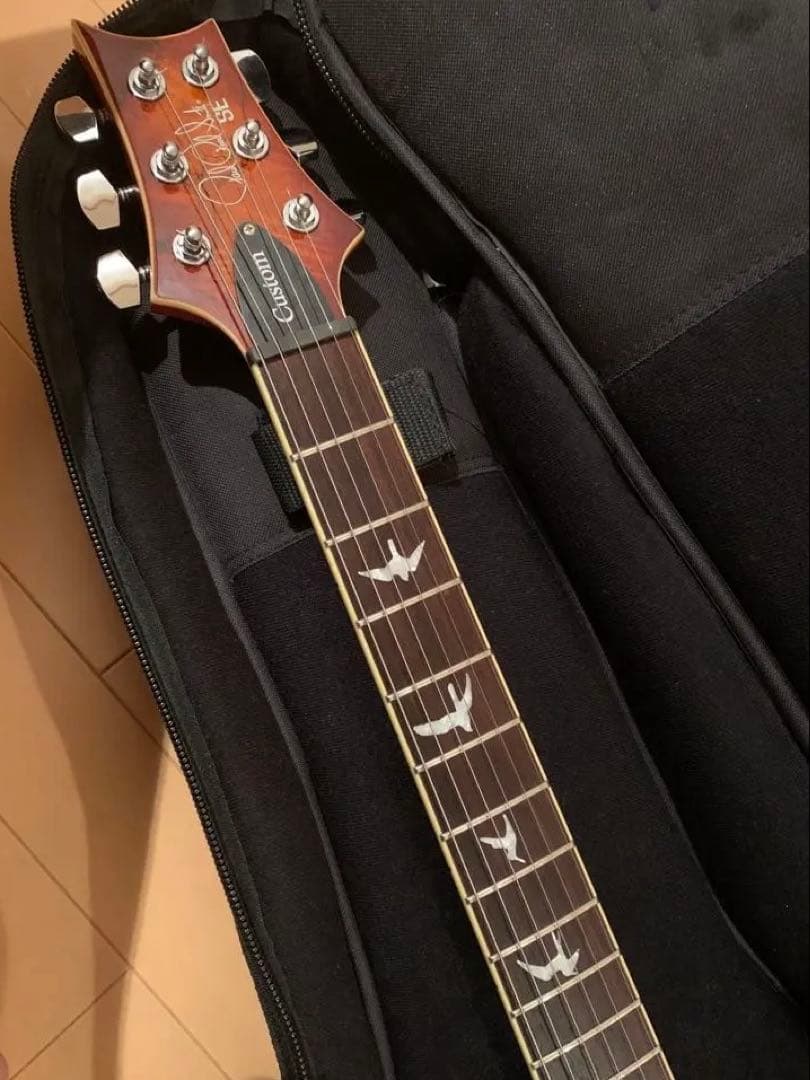 ギター PRS SE Custom 24 Spalted Maple