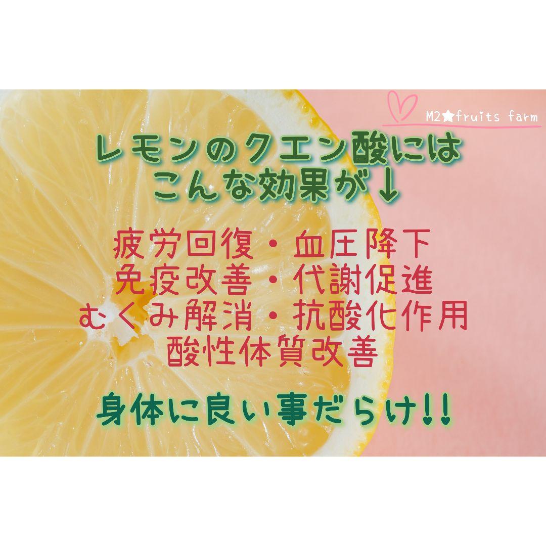 【ꕤ390】熊本県産 赤姫レモン 20kg（国産レモン）