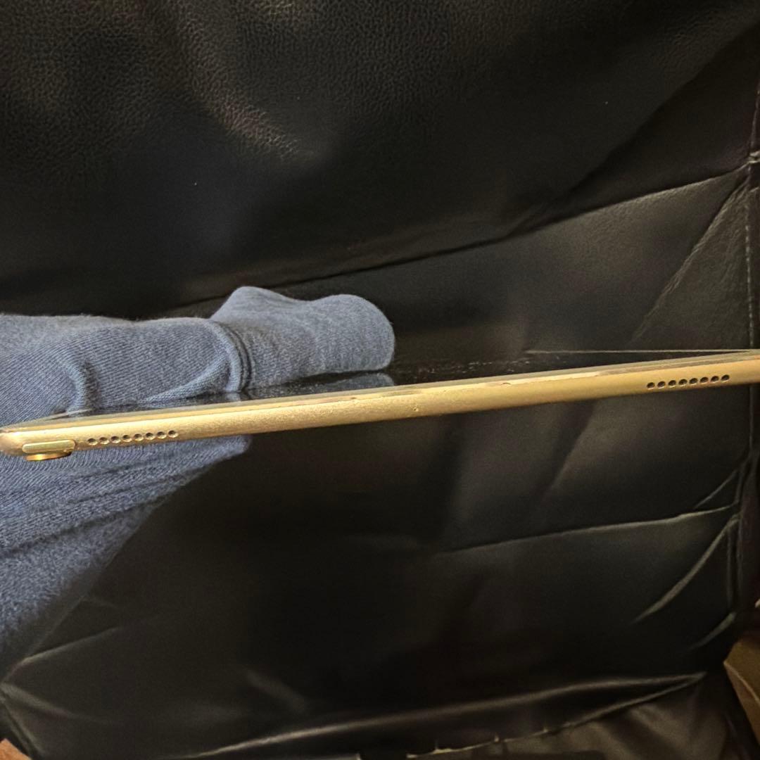 ゴールド iPad Pro