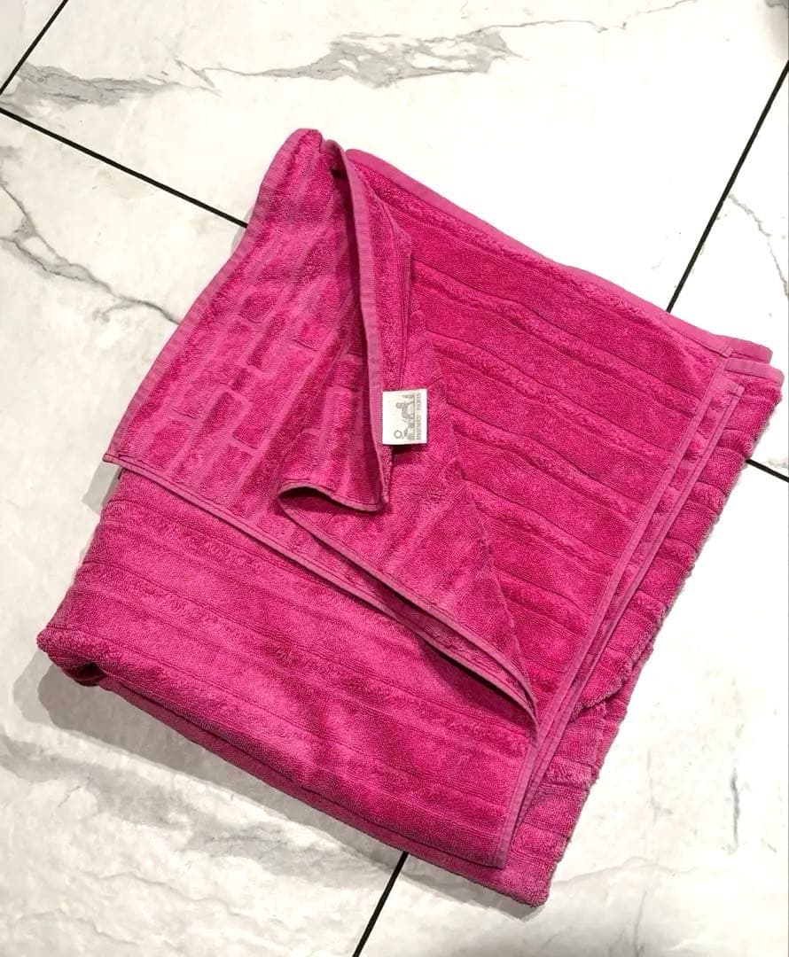 【希少•レア】 HERMES 超大判！　カレ　タオル　ビーチタオル　ステアーズ