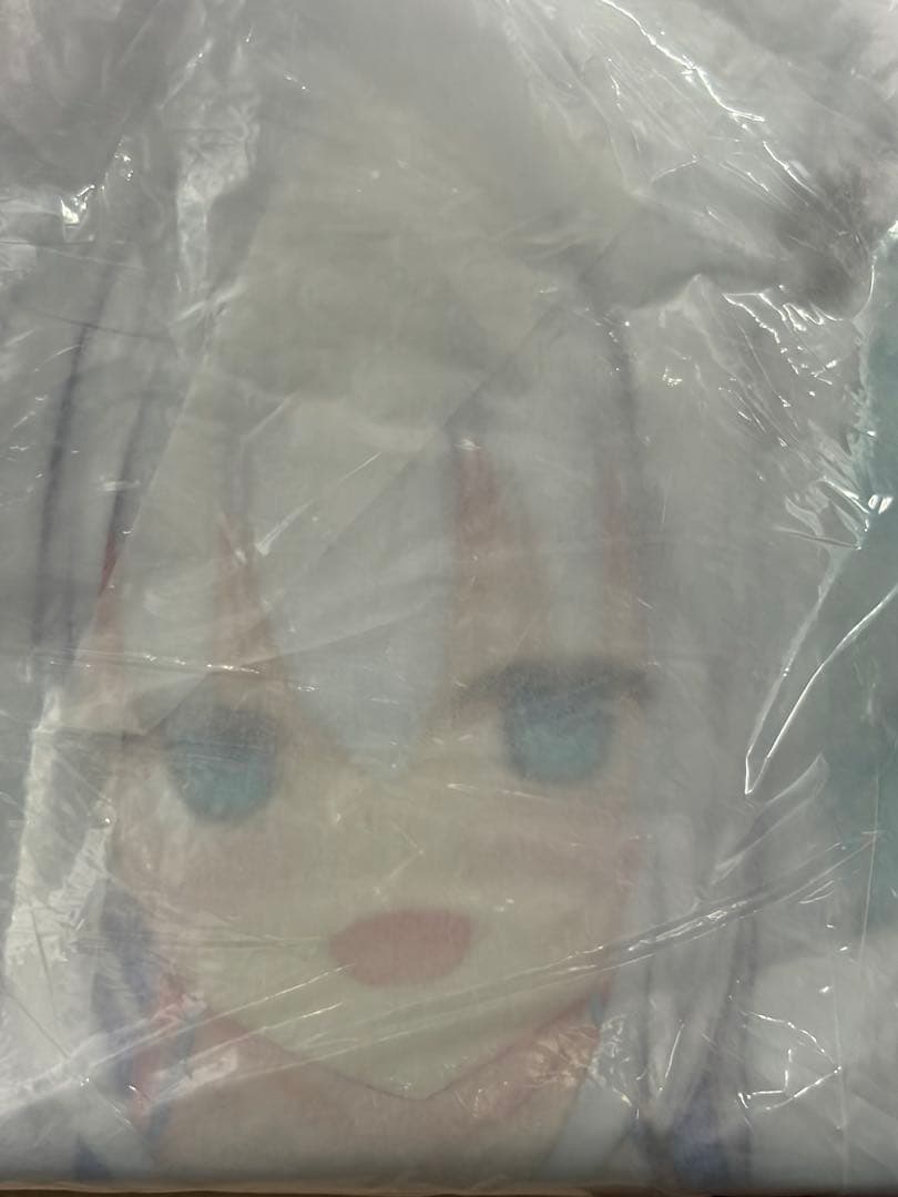 同人 ビーチボール 70cm