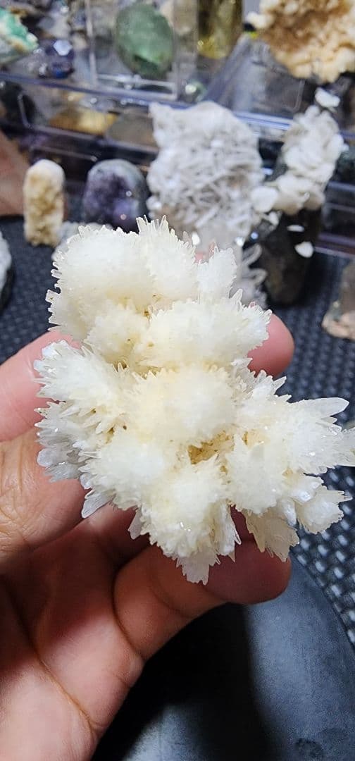 白いアラゴナイトの花