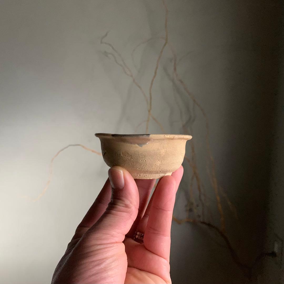無地志野盃 桃山〜江戸初 古美術 志野 盃 ぐい呑み 古道具 アンティーク 陶片