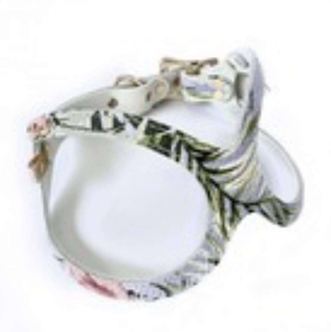 BUDDY BELT.「バディーバハマ」　2,5号