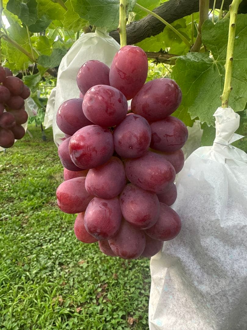 ちなびなページ