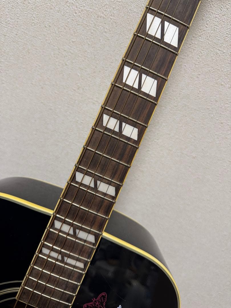 ハミングバード Maison H-22 BK アコースティック ギター アコギ