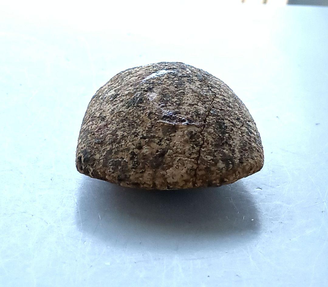 磨製石斧　完成出土品　堆積岩　磨き石