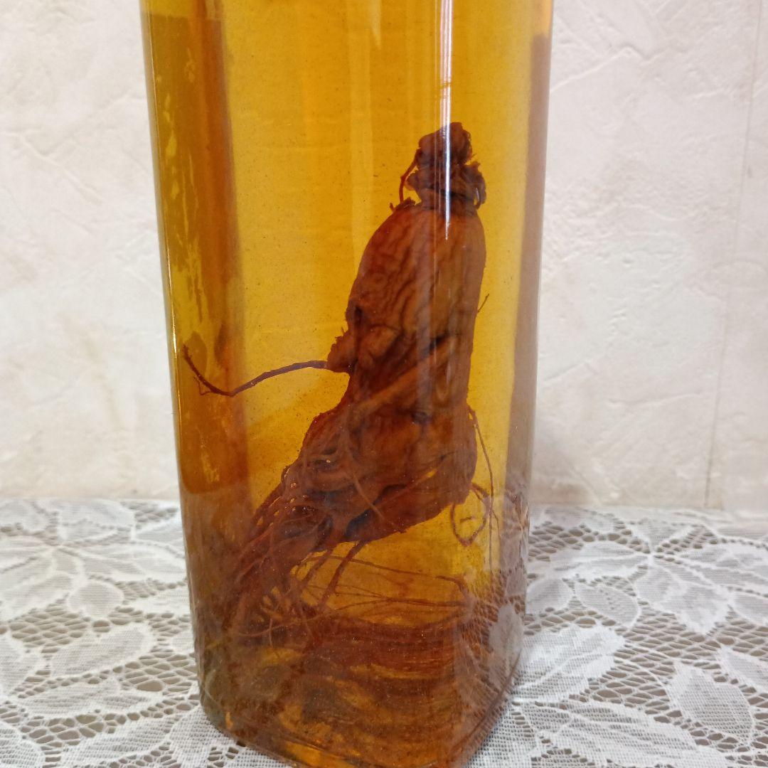 (希少品)ヘルオス酒造 6年根ハブ酒 高麗人参入り 720ml ラベル美品古酒