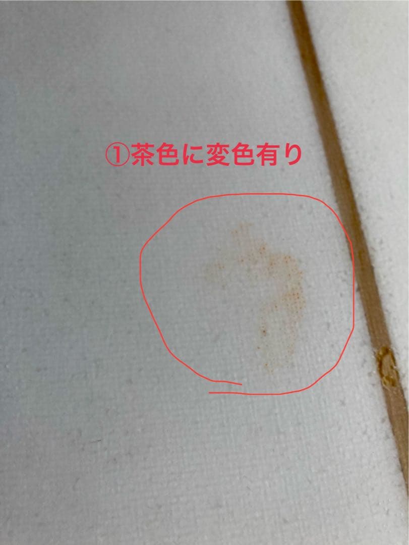 ESSENCE ファンボード トライフィン 手渡しオンリーyukio専用