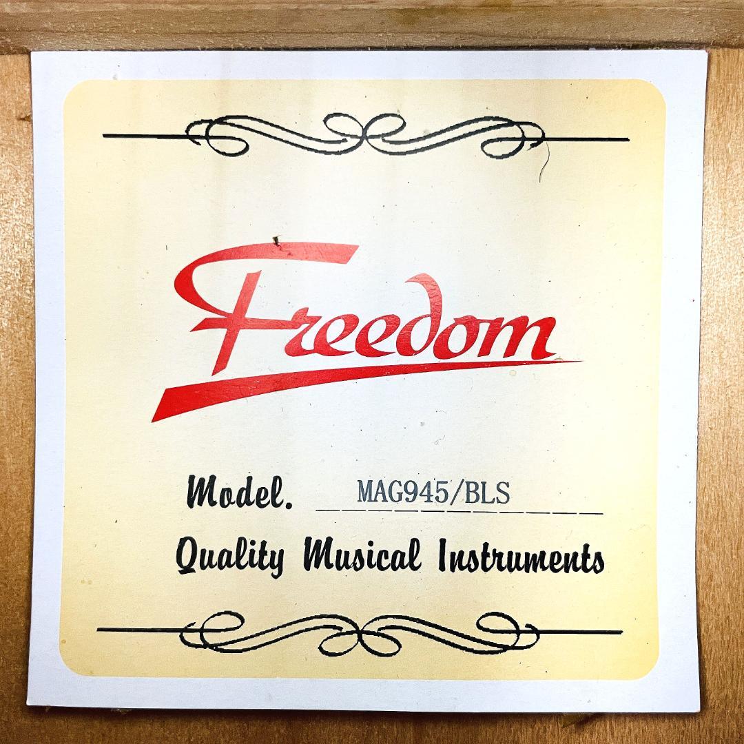 レア Freedom MAG945/BLS アコースティックギター【整備品】