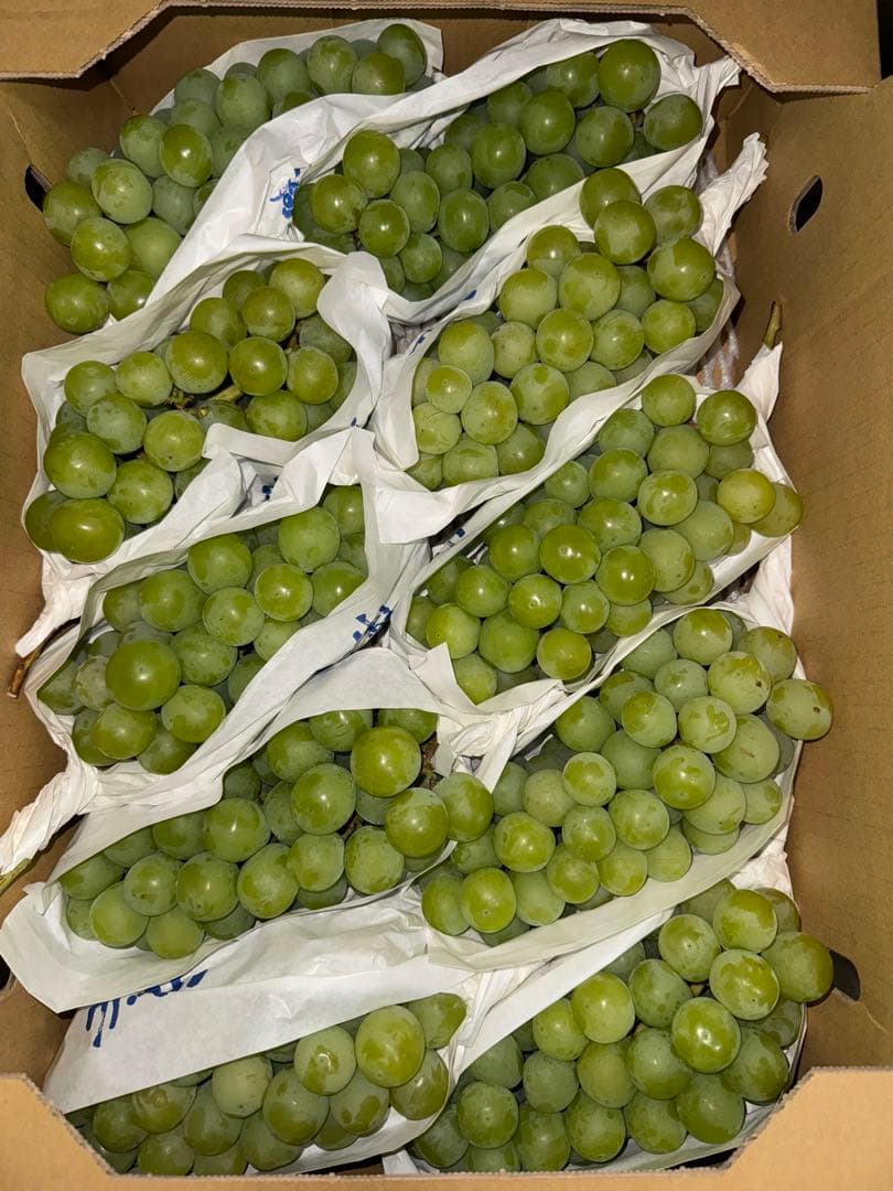 山梨県産ぶどう⭐️シャインマスカット⭐️家庭用10房入り箱込み約5.6キロ