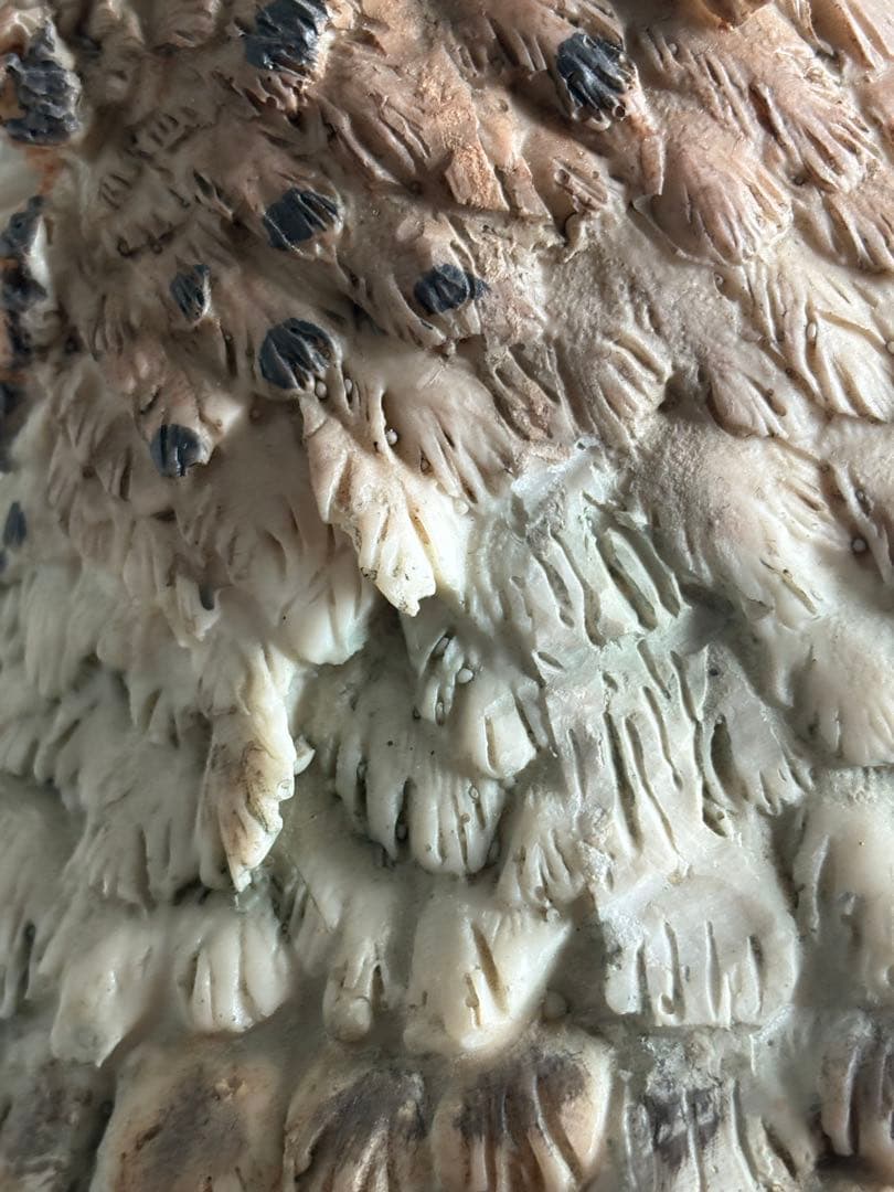 ワシミミズク　大きな置物　高さ57cm、18.8.kg フクロウ科　アンティーク