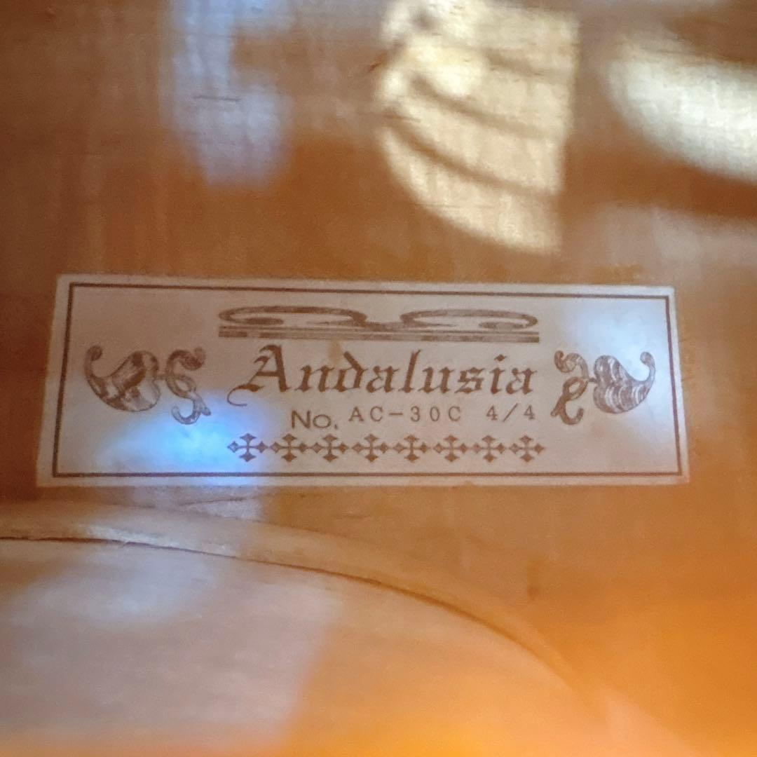 ✨美品✨ アンダルシア チェロ 4/4 No.AC-30C ケース付き 送料無料