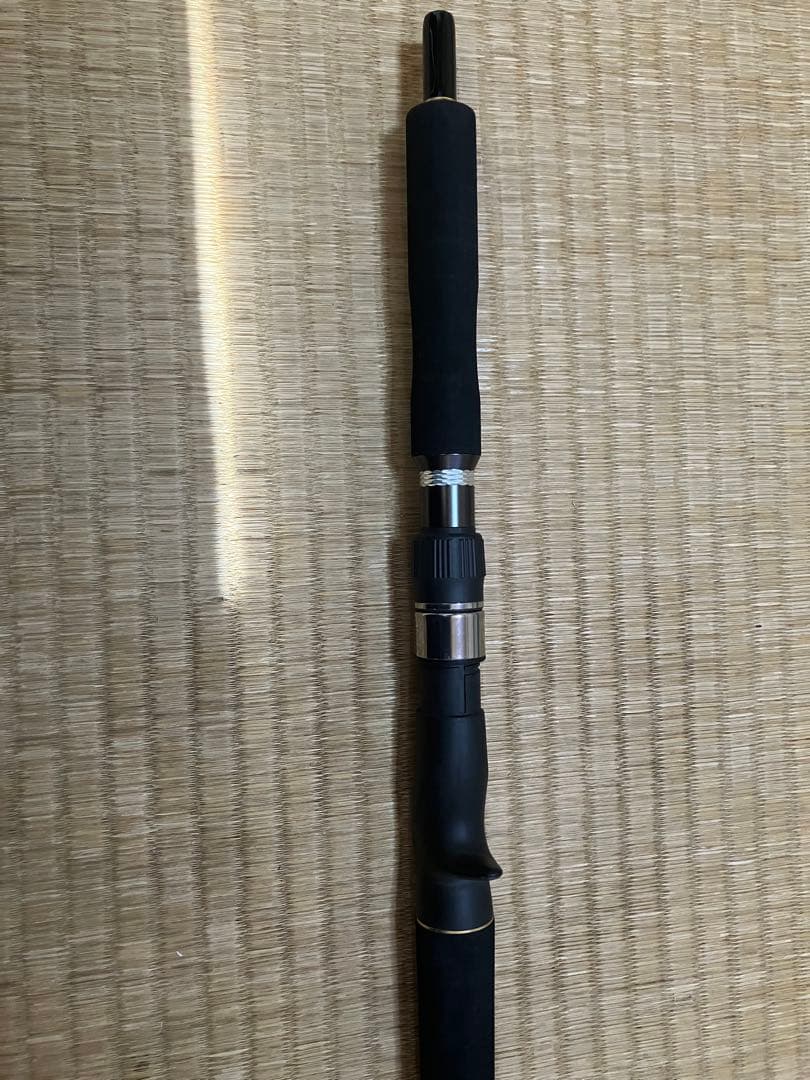 【専用】テイルウォーク　ジグフォースSSD C602