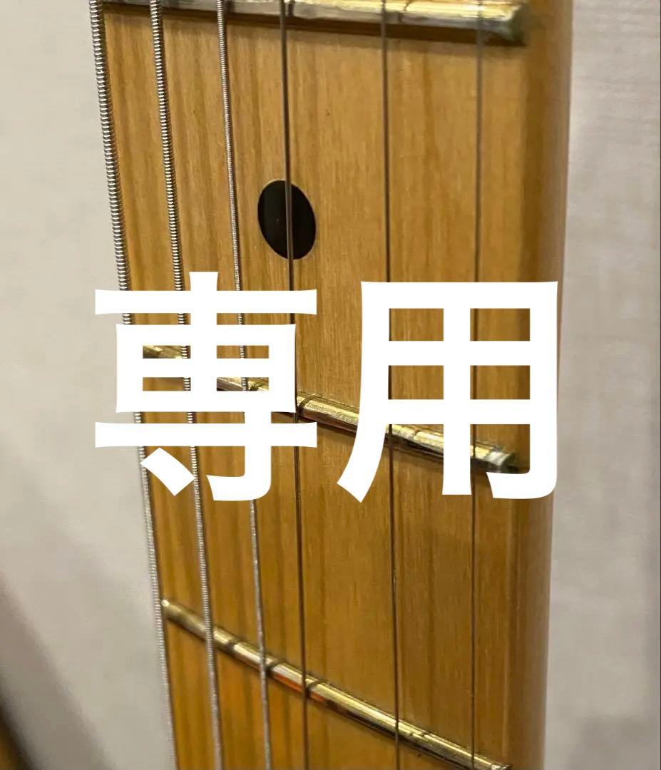 専用　　Fender PlayerシリーズTelecaster タイドプール