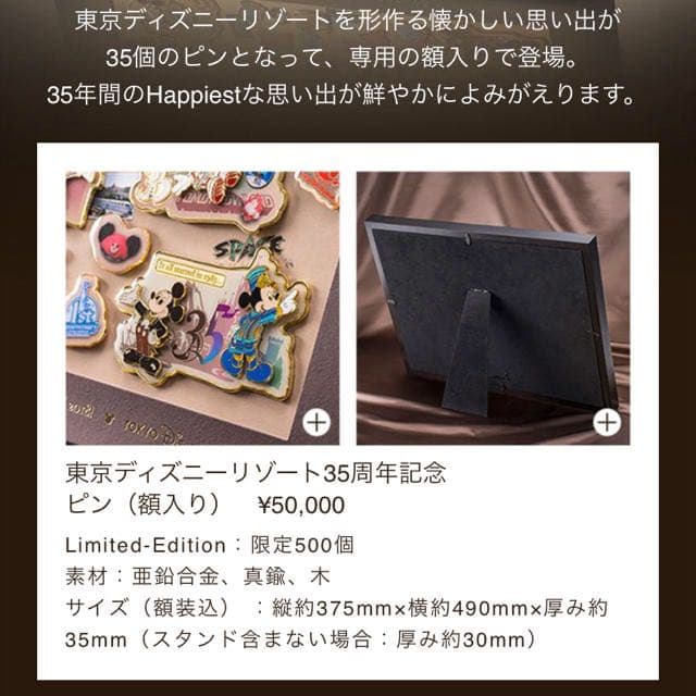 【限定品】ディズニー35周年記念　ピンバッチセット