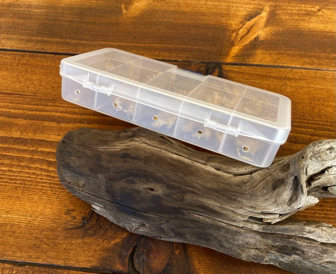 クワガタ採集セット　オリジナルロゴ入り掻き出し棒　デジタルノギス　採集ケース