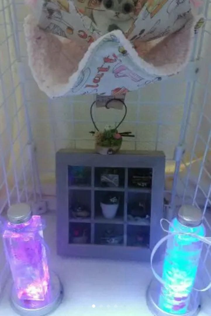 モモンガハウス(カフェ柄)ボアピンク   1980円