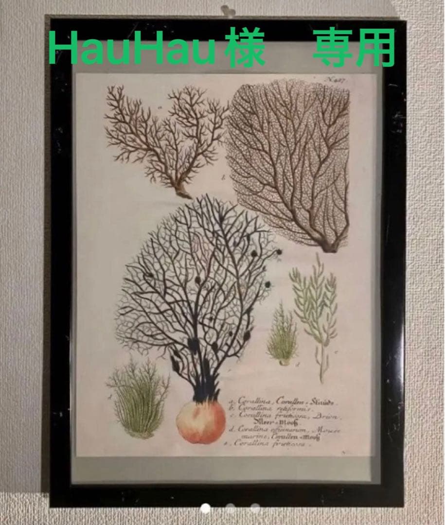 ジョンデリアンアンティークペーパーコレクション③