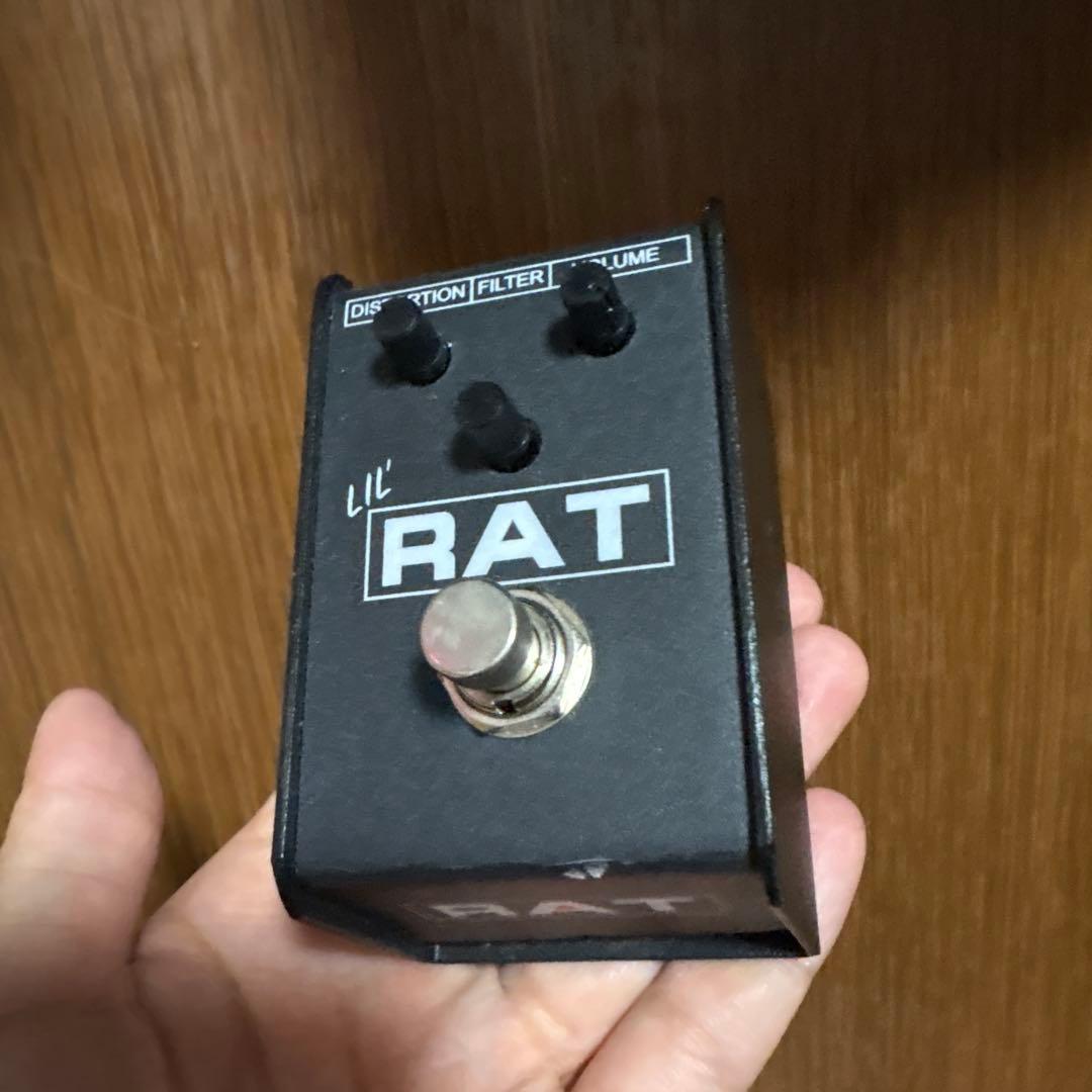 ギター LIL' RAT