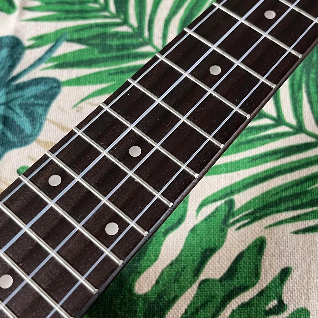 【入門セット】musicのゼブラウッド・コンサートウクレレ【ウクレレ専門店】