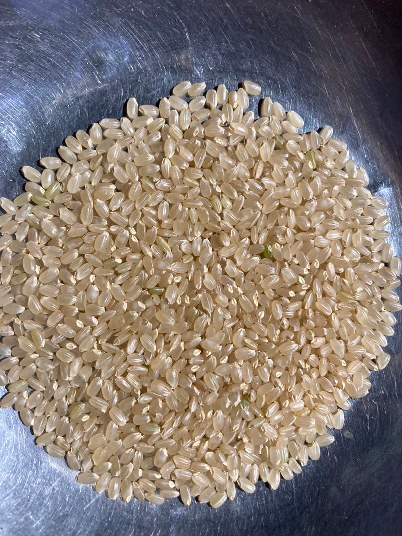 魚沼産コシヒカリ玄米10㌔