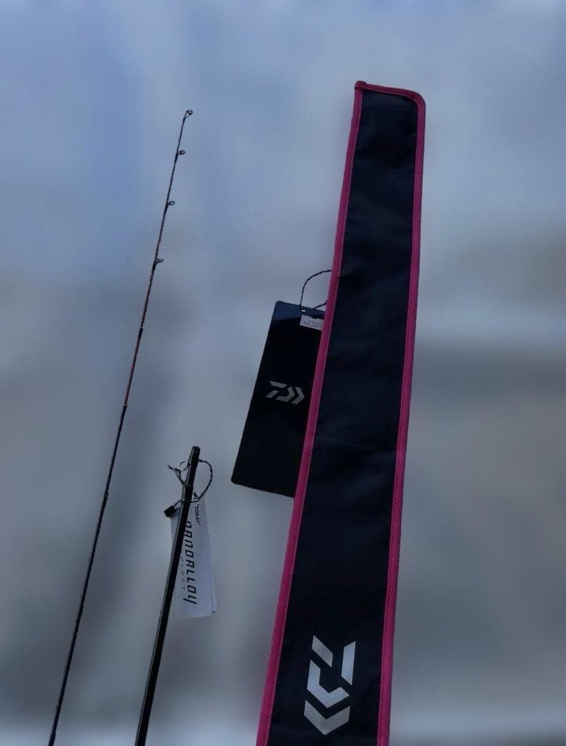 絆 ダイワ 紅牙 TYPE-D 610HB スリルゲーム