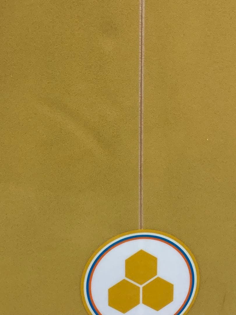 チャンネルアイランド　Gスケート　5.8 手渡し　　CI g skate