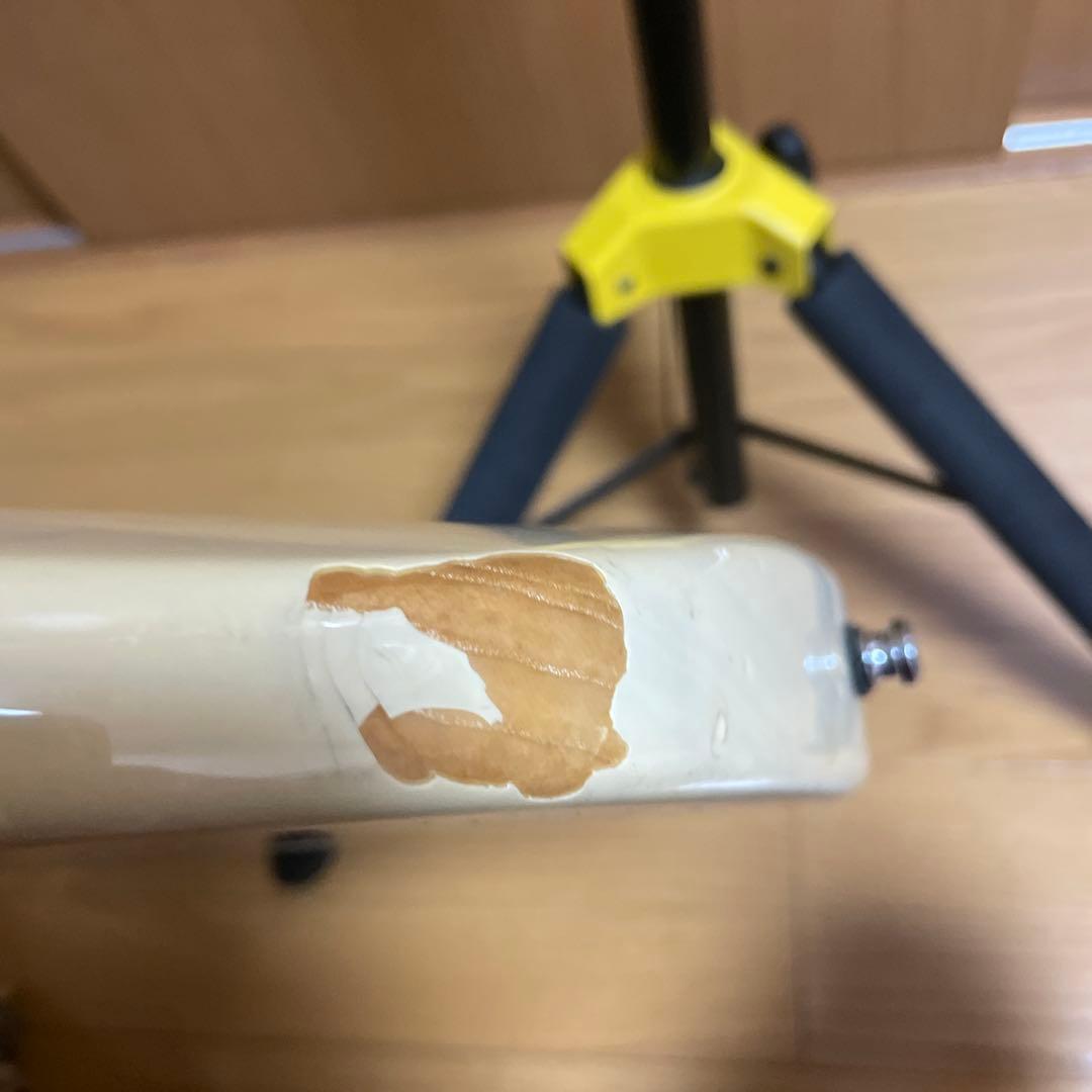 ESP スナッパー　SNAPPER AS