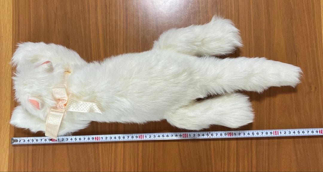 オオイケ　ペルシャネコ　ボビー　M