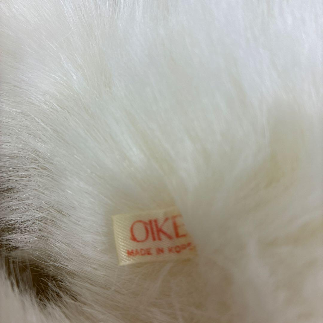 オオイケ　ペルシャネコ　ボビー　M