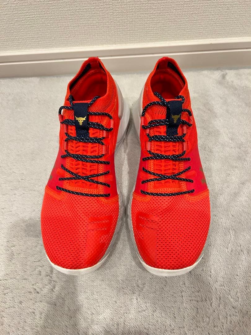 アンダーアーマープロジェクトロック2 25cm