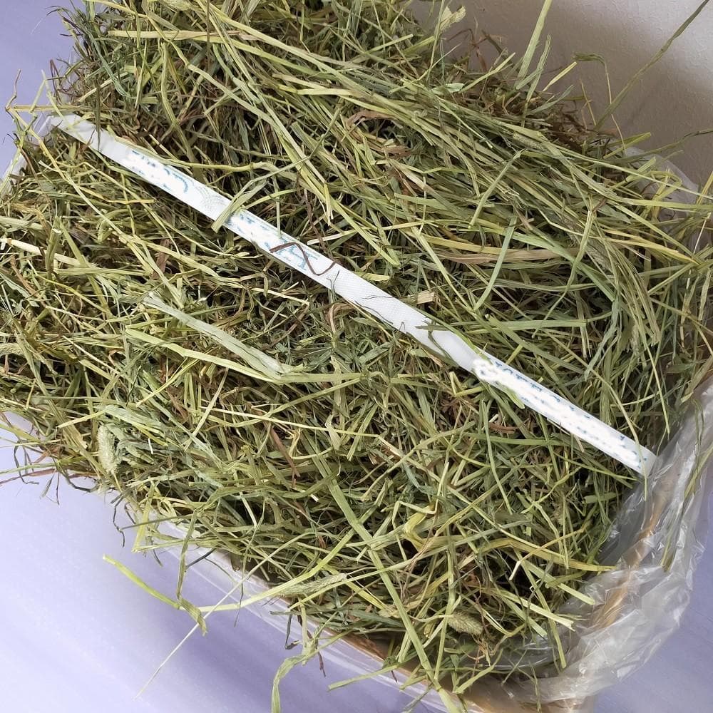 【家計応援価格】US産 チモシー 60kg ２番刈 ソフトSプレミアム