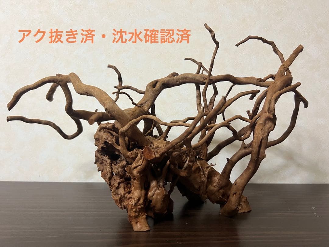 51608 ブランチウッド　流木　アクアリウム 沈水確認済