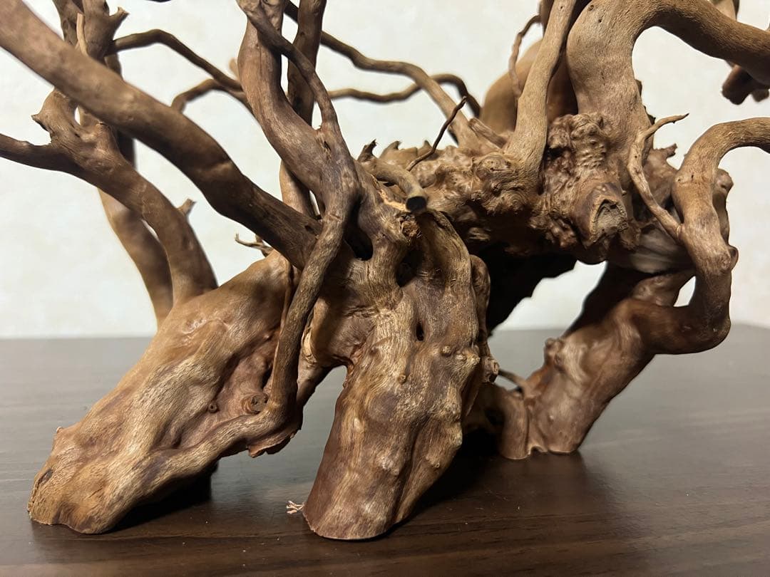 51608 ブランチウッド　流木　アクアリウム 沈水確認済