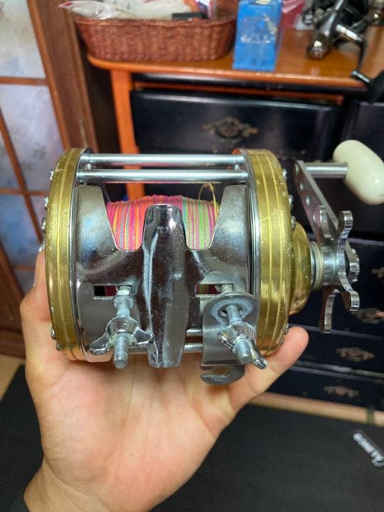 ダイワ　シーライン